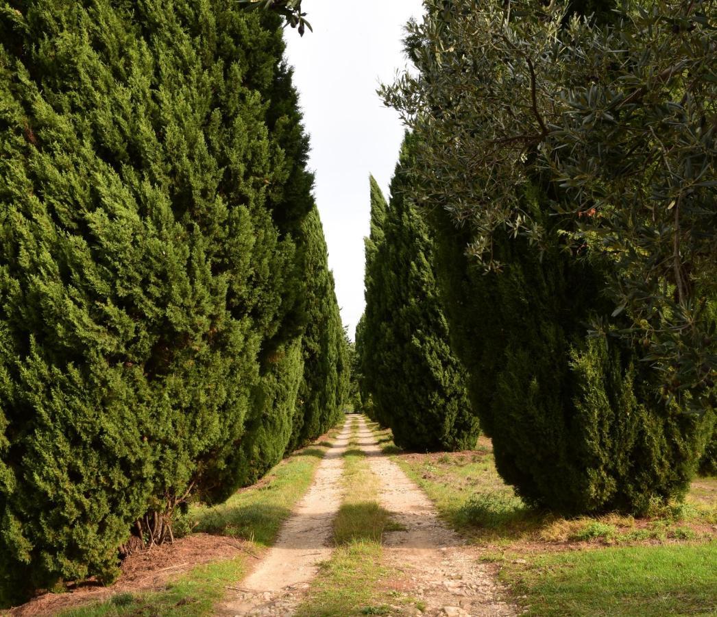 Chateau Saint-Esprit Bed and Breakfast Draguignan Eksteriør billede