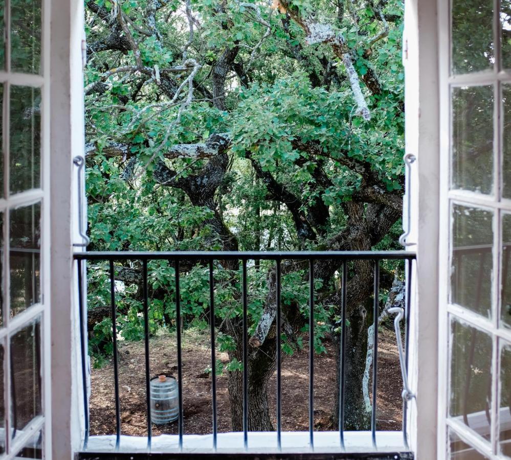 Chateau Saint-Esprit Bed and Breakfast Draguignan Eksteriør billede